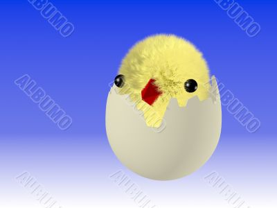Easter egg with chicken
