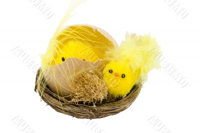 Easter Chickens