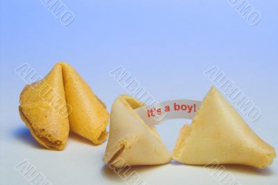 Fortune Cookie - It`s a Boy