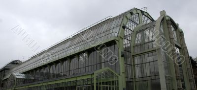 greenhouse of museum in Paris