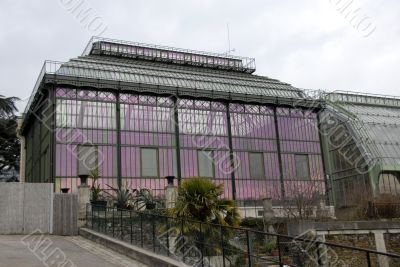 greenhouse of museum in Paris
