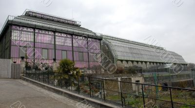 greenhouses of museum in Paris