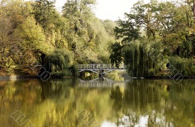 The wooden bridge