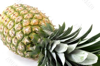 Fresh pineapple