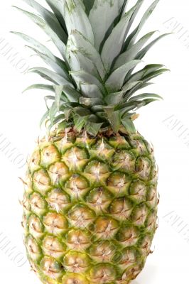 Tropical fruit