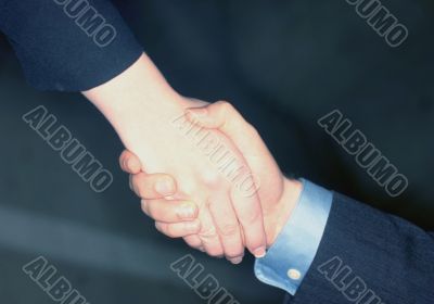 Business handshake