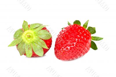 Two fresh and tasty strawberries