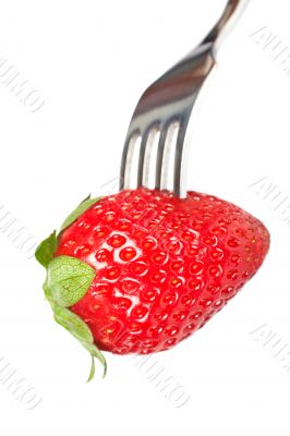 The fork pricking the strawberry