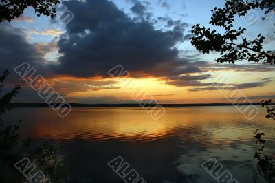 Branch on a sunset.