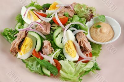 Tuna And Egg Salad 1