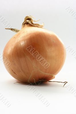 Red and Yellow Onion isolated in white background