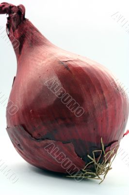 Red and Yellow Onion isolated in white background