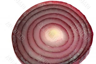 Red and Yellow Onion isolated in white background