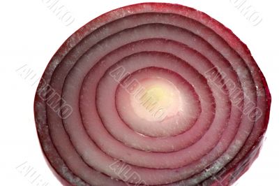 Red and Yellow Onion isolated in white background