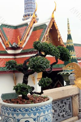 Decorative tree