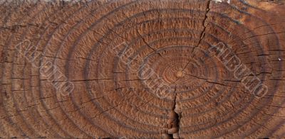 Wood texture
