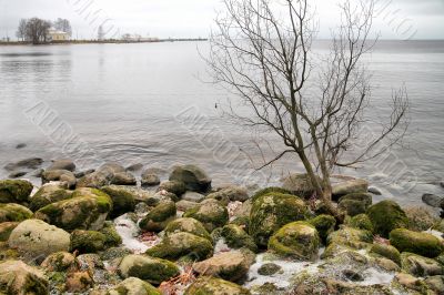 On the shore