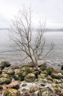 On the shore