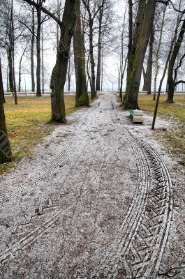 Lane in winter