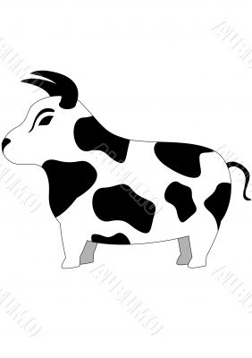 funny Bull
