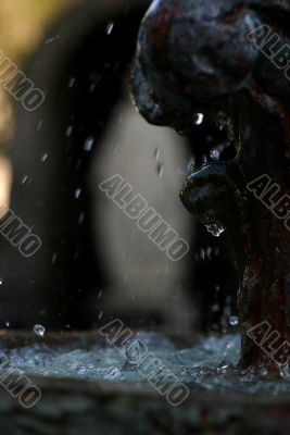Water Drops