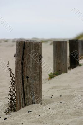 Old Fence Poles