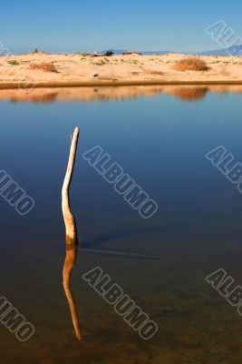 Stick In The Water