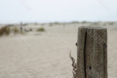 Old Fence Pole