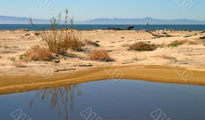 Water By The Ocean