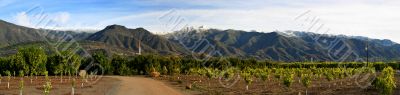 Ojai Valley With Snow P3