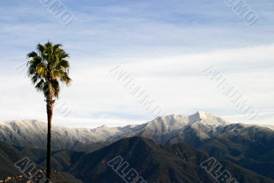 Southern California Snow 4315