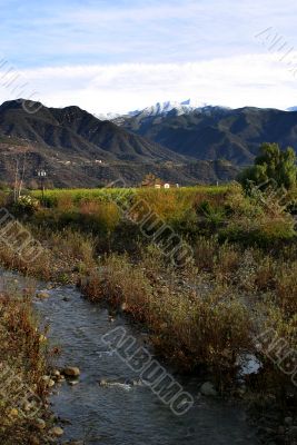 Ojai Valley 10