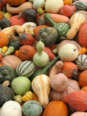 Harvest