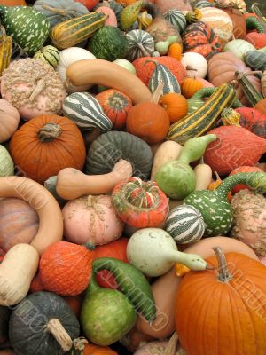Harvest