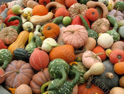 Harvest