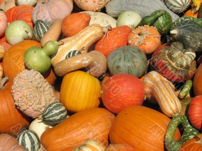 Harvest