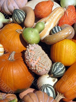 Harvest