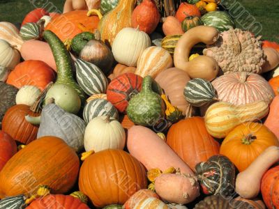 Harvest
