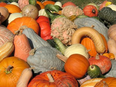 Harvest