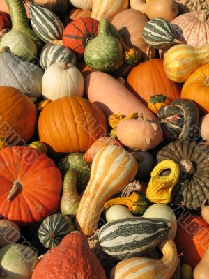 Harvest