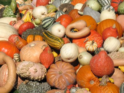 Harvest