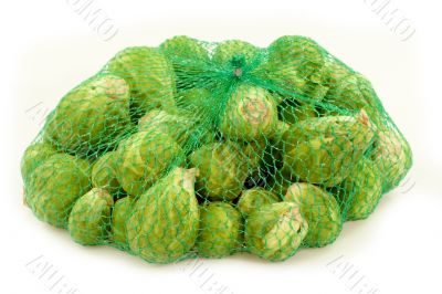 Fresh vegetables