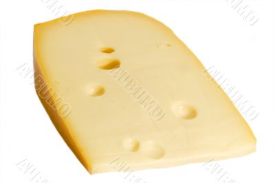 Cheese