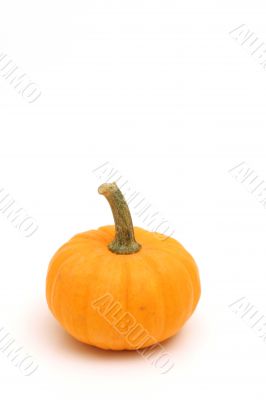 pumpkin on white on top