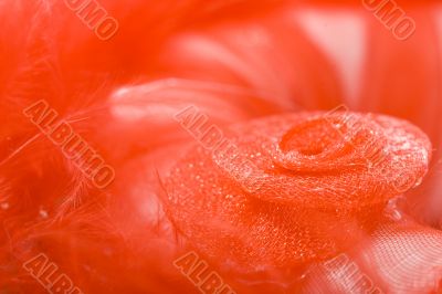red decorative rose