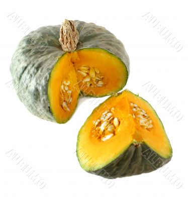 Pumpkin 4