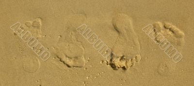Footprint on sand