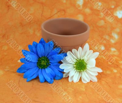 Blue and White Daisies and Flowerpot