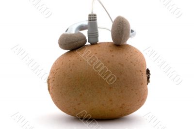 The kiwifruit - music player 2