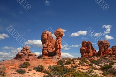 ARCHES 67